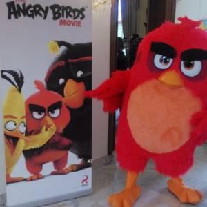 Angry Birds Red boeken