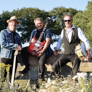 Band Zonder Henk boeken
