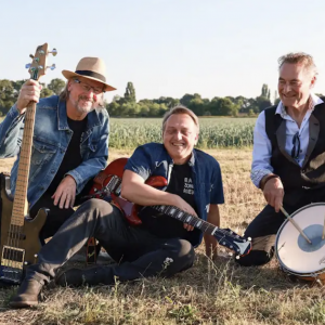 Band Zonder Henk boeken