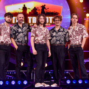 Beach Boys Best (The Beach Boys)