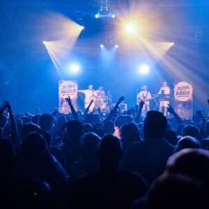 Bjorn en de Bobbies boeken