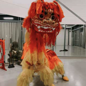 Chinees Entertainment Boeken