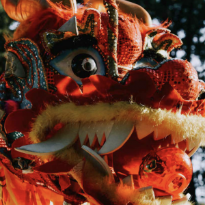 Chinees Entertainment Boeken