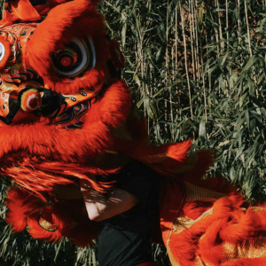 Chinees Entertainment Boeken