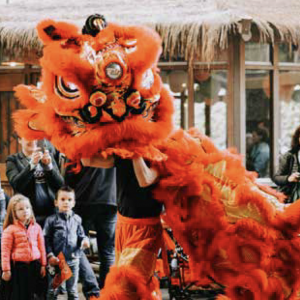 Chinees Entertainment Boeken