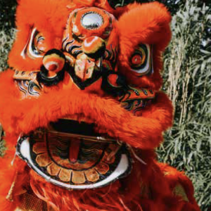 Chinees Entertainment Boeken