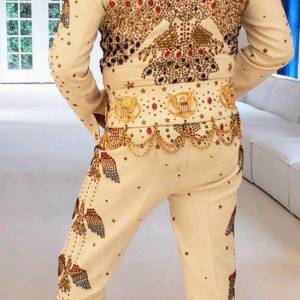 Chris Bishop-Elvis Tribute Artist boeken