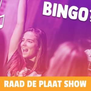 De Raad De Plaat Show