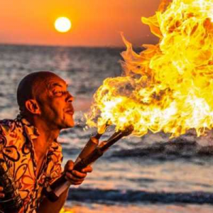 De Vermakelaar boeken