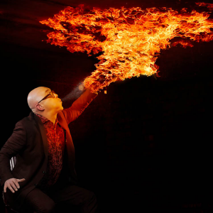 De Vermakelaar boeken