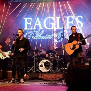 The Eagles Tribue (Desperado) boeken