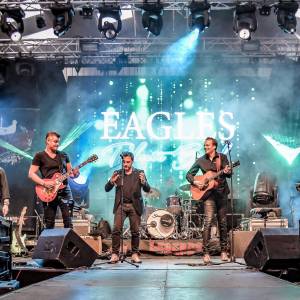 The Eagles Tribue (Desperado) boeken