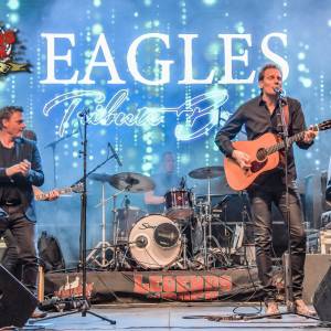 The Eagles Tribue (Desperado) boeken