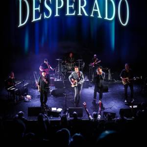 The Eagles Tribue (Desperado) boeken