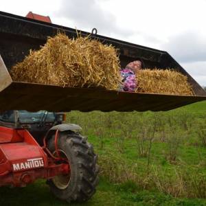 DJ Tractor Timmie boeken