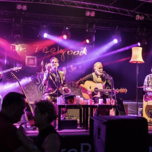 Dr. Feelgood Live