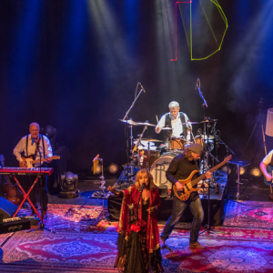 Fleetwood Back (Fleetwood Mac)