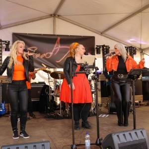 Good Timez coverband boeken