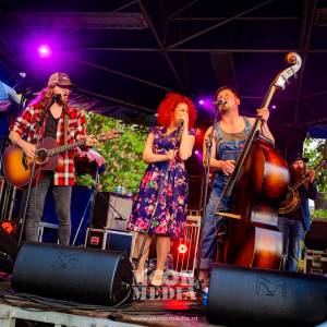 Hillbilly Hayride boeken