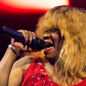 Hot Leggs: Tina Turner Tribute boeken