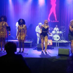 Hot Leggs: Tina Turner Tribute boeken