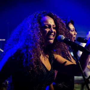 Hot Leggs: Tina Turner Tribute boeken