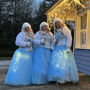 IJsdiva's