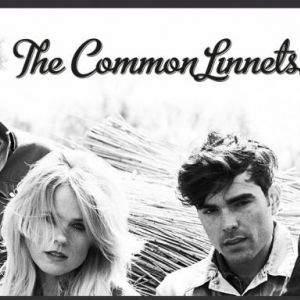 The Common Linnets