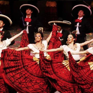 Limbo, Samba Salsaworkshop, Flamenco, Buikdans, Chileensedans, Mexicaansedans