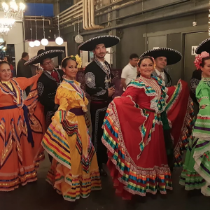 Limbo, Samba Salsaworkshop, Flamenco, Buikdans, Chileensedans, Mexicaansedans