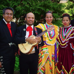 Limbo, Samba Salsaworkshop, Flamenco, Buikdans, Chileensedans, Mexicaansedans