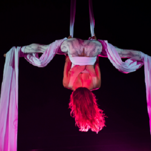 Aerial Acts Minke Ruel