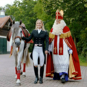 Paard van Sinterklaas