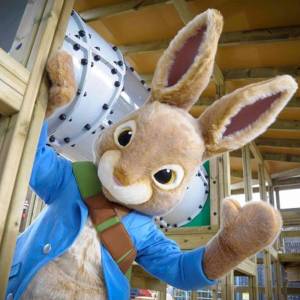 Peter Rabbit Boeken