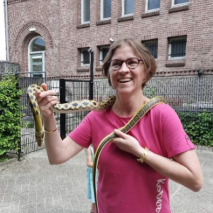 Reptielen demonstratie