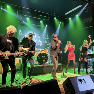 Rock N Roll Junkies: A tribute to Herman Brood boeken