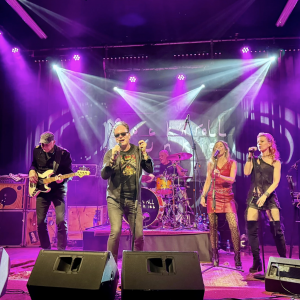 Rock N Roll Junkies: A tribute to Herman Brood boeken