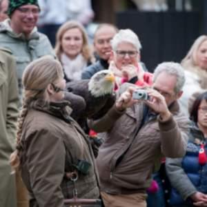 Roofvogels en Uilen