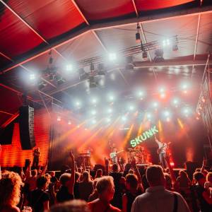 SKUNK: A tribute to Doe Maar boeken