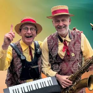 Swing meneertjes boeken