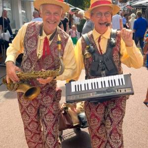 Swing meneertjes boeken