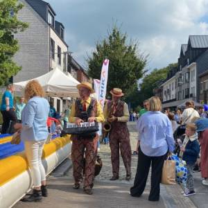 Swing meneertjes boeken