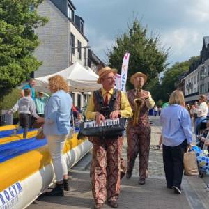 Swing meneertjes boeken