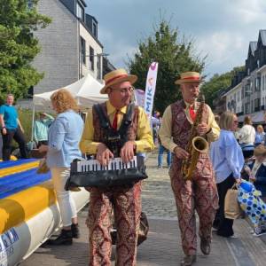 Swing meneertjes boeken