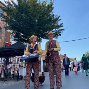 Swing meneertjes boeken