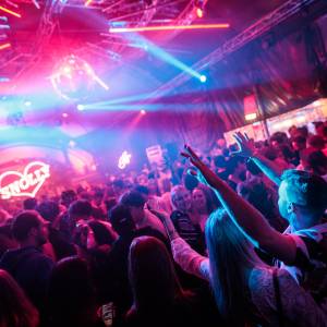 Team Disco Snolly boeken