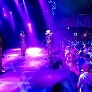 The Alley Girls boeken