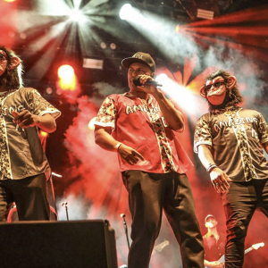 The Amazing Bruno Mars Tributeband Boeken