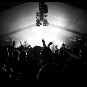 The Bandits boeken