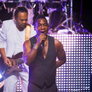 The Fires - Zangers van The Chicago Funk boeken